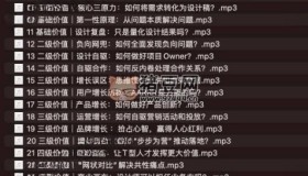 極客時(shí)間小喬：大廠設(shè)計(jì)進(jìn)階實(shí)戰(zhàn)課