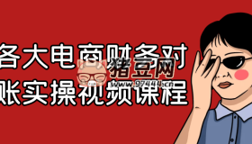 各大電商財(cái)務(wù)對(duì)賬實(shí)操視頻課程