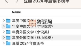 豆瓣2024年度讀書榜單電子書
