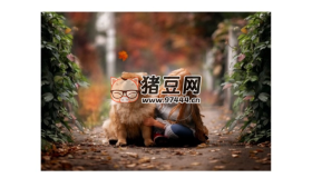 青山攝影課青山調色系統(tǒng)班第7期