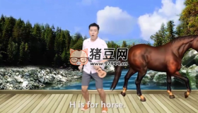 紅火箭分級(jí)閱讀系列資料 (書(shū)+音視頻+練習(xí)冊(cè)+點(diǎn)讀包)