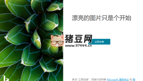 Bing Wallpaper v2.0.1.4中文版