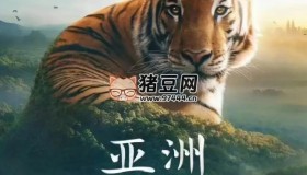 《亞洲》紀(jì)錄片 8K超高清