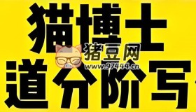 貓博士分階寫作課 (Level 1-6)