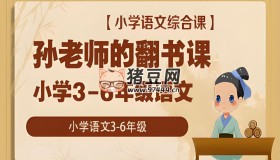 孫老師的翻書課 (小學(xué)3-6年級語文)