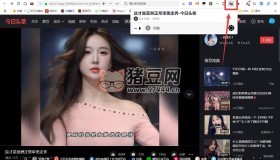 video downloadhelper v7.3.5.0 高級版網(wǎng)頁視頻下載神器