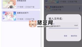 BiliDownOut v1.0 嗶哩嗶哩緩存導(dǎo)出工具