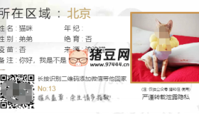 流浪貓流浪狗領(lǐng)養(yǎng)源碼