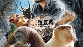 《生命奇觀》紀(jì)錄片 (2023)