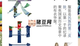 《布衣中國》紀(jì)錄片 (2015)