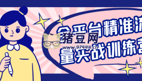 全平臺(tái)精準(zhǔn)流量實(shí)戰(zhàn)訓(xùn)練營(yíng)