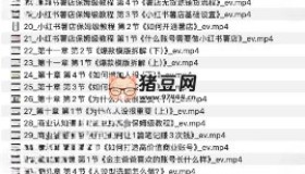 派媽流量變現(xiàn)私教課：小紅書賽道IP、商業(yè)、店鋪