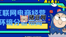 互聯(lián)網(wǎng)電商經(jīng)營(yíng)環(huán)境分析布局