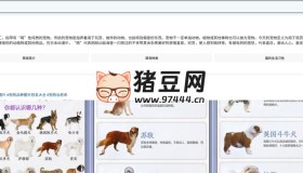 抖音搜索：一個專門為用戶提供抖音平臺內(nèi)容搜索的工具