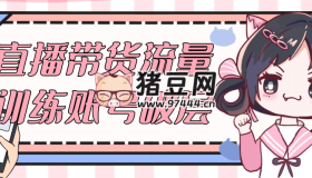 直播帶貨流量訓練賬號破層