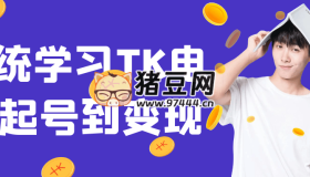 系統(tǒng)學(xué)習(xí)TK電商起號到變現(xiàn)