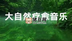 大自然音樂(lè)系列合集