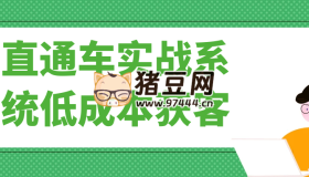 直通車(chē)實(shí)戰(zhàn)系統(tǒng)低成本獲客
