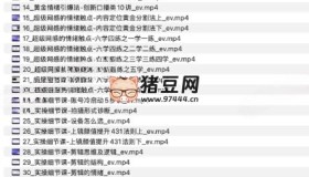 頂流女性IP實(shí)戰(zhàn)班，流量上億情緒引爆法，深度打磨頂流女性IP硬核基本功