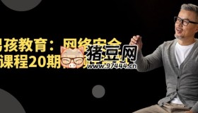 老男孩教育：網(wǎng)絡(luò)安全VIP課程20期視頻+資料