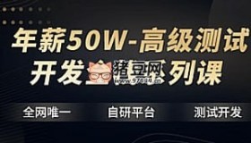 年薪50W高級測試開發(fā)全棧系列課