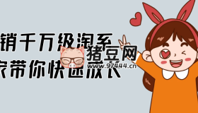 年銷千萬級淘系商家?guī)憧焖俪砷L