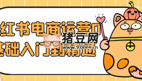 小紅書電商運營0基礎(chǔ)入門到精通