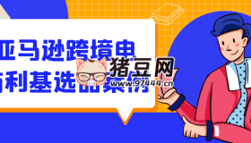 亞馬遜跨境電商利基選品案例