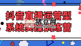 抖音直播運(yùn)營(yíng)型系統(tǒng)實(shí)操訓(xùn)練營(yíng)