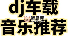 2025年爆款車載DJ無(wú)損音樂(lè)合集