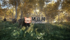 《獵人：野性的呼喚》聯(lián)機(jī)版