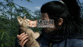 《浪人崛起》v1.0.0中文版