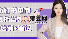 小紅書電商直播營帶貨+店鋪+筆記
