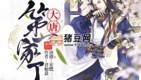 《大唐第一家丁》有聲小說(shuō) 著：君如意 播：安燃 460集完