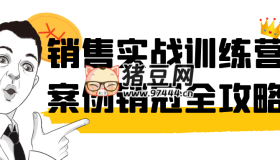 銷售實戰(zhàn)訓練營案例銷冠全攻略