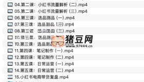 盜坤小紅書電商帶貨陪跑營（第十一期）