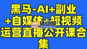 AI+副業(yè)+自媒體+短視頻運營直播公開課合集