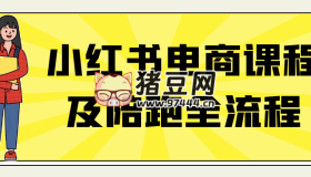 小紅書電商課程及陪跑全流程
