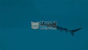 《終極釣魚模擬器 2》中文版