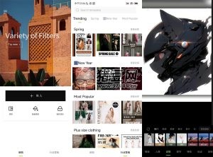 Hypic 醒圖國際版 v3.0.0 高級版