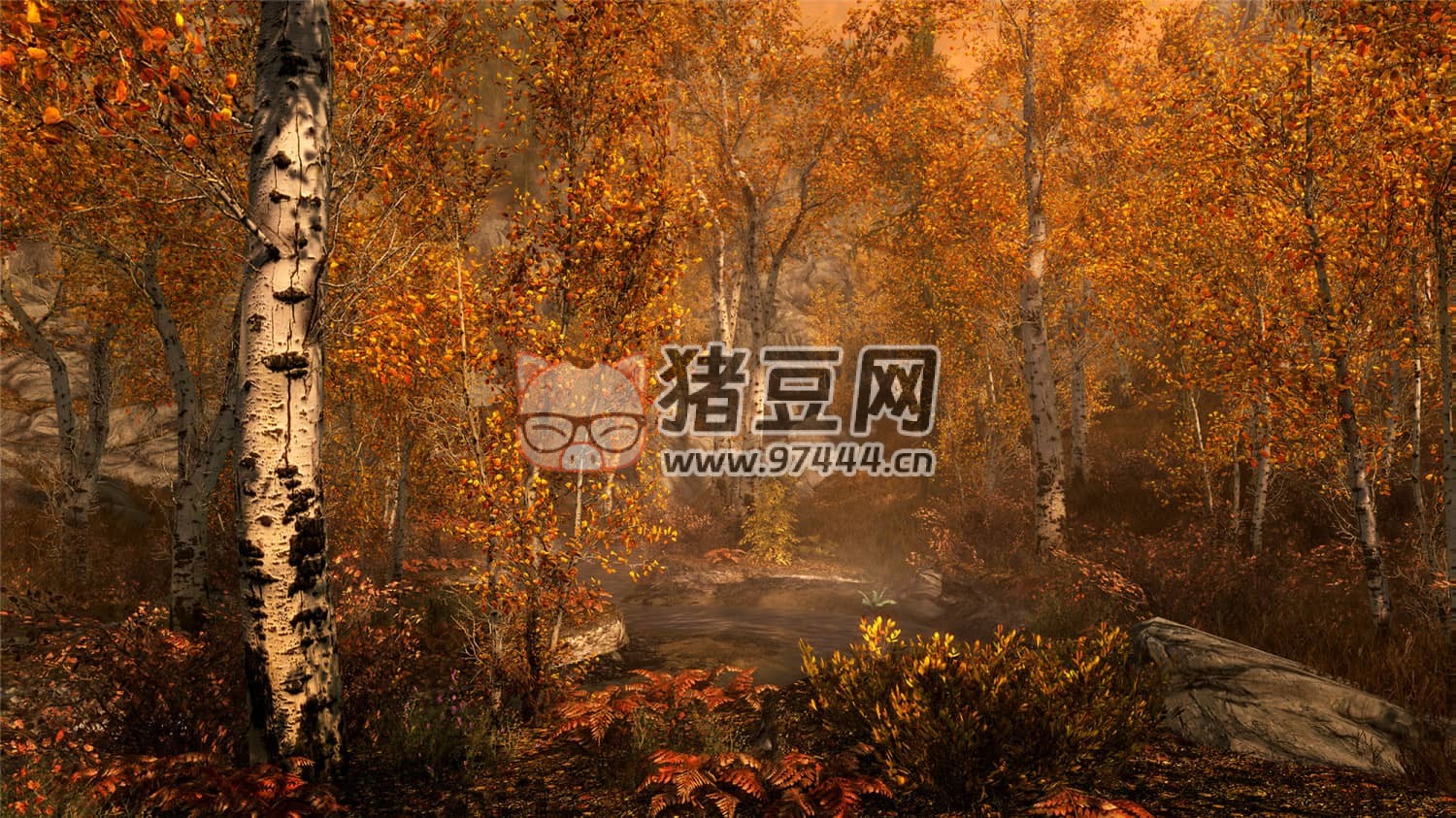 《上古卷軸 5》周年紀(jì)念版