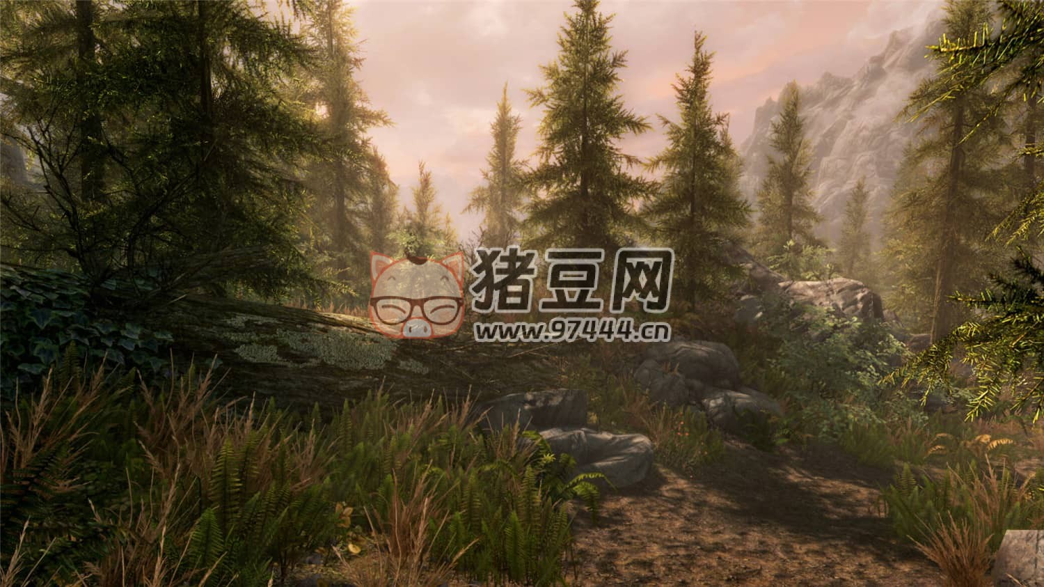 《上古卷軸 5》周年紀(jì)念版