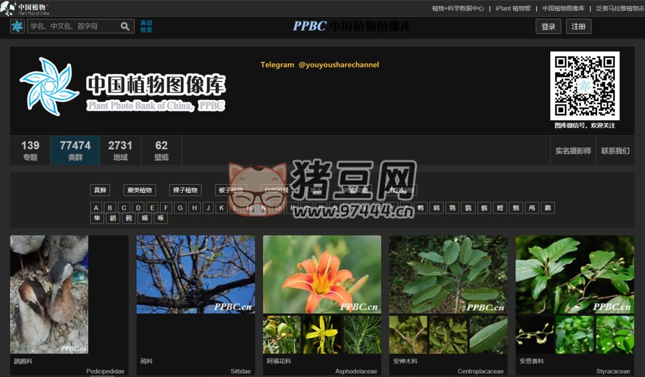 PPBC 中國植物圖像庫：最大的植物分類圖片庫