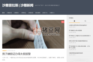 沙雕普拉斯：沙雕新聞的搬運(yùn)工