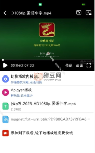幻影下載器 v1.0.6 綠化版