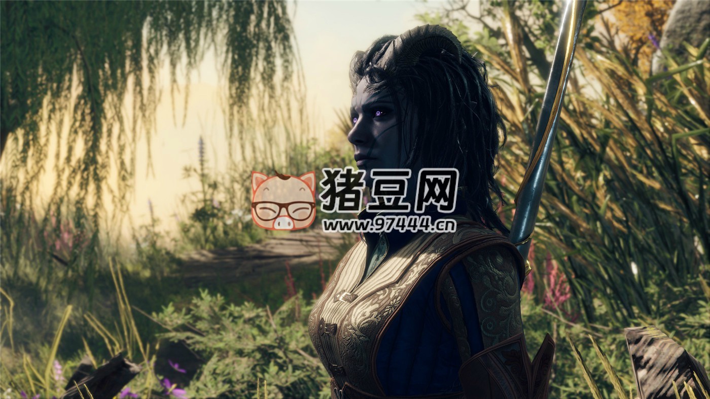 《博德之門 3》v4.1.1.4425968 正式版