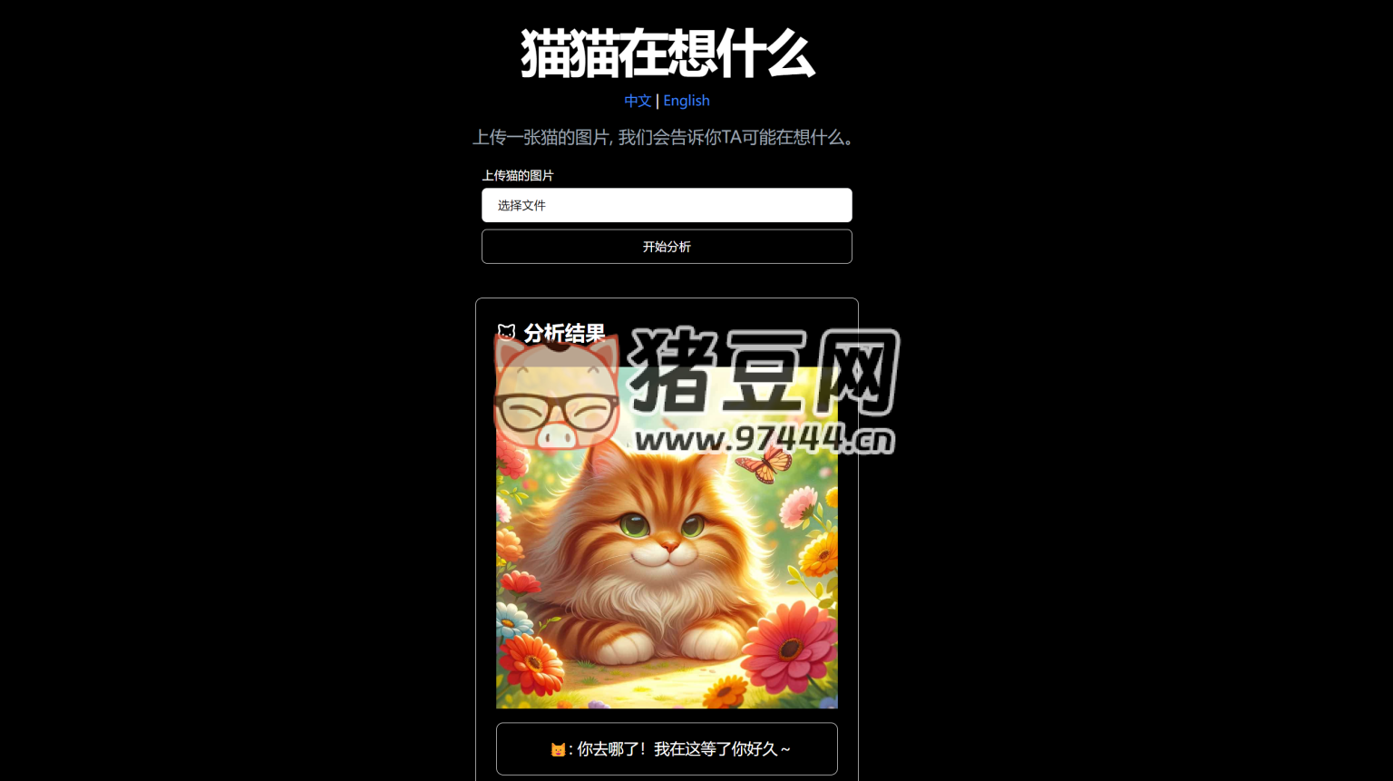 貓貓?jiān)谙胧裁矗豪?AI 分析貓咪在想什么