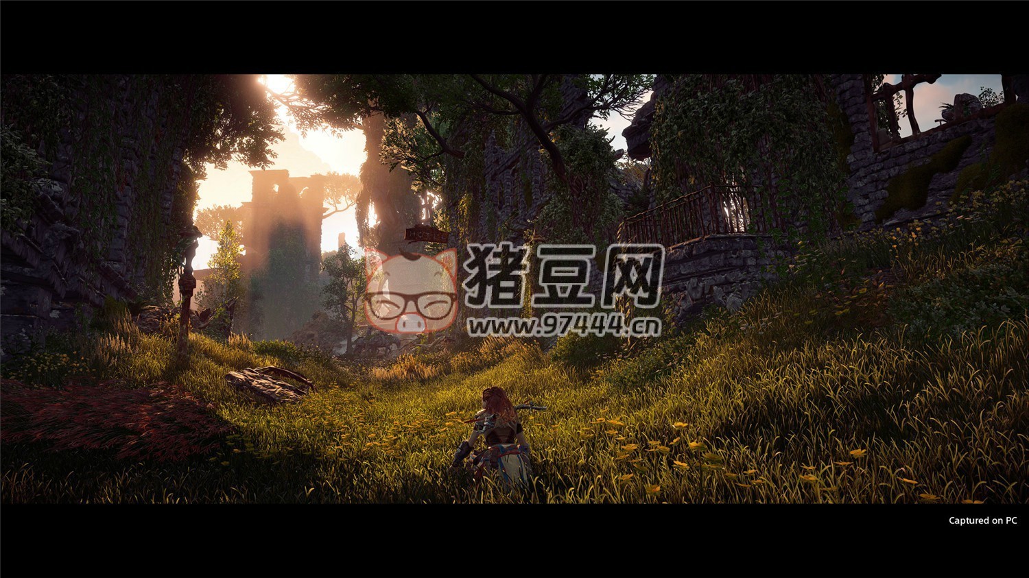 《地平線(xiàn)：零之曙光》v1.0.11.14 完全版