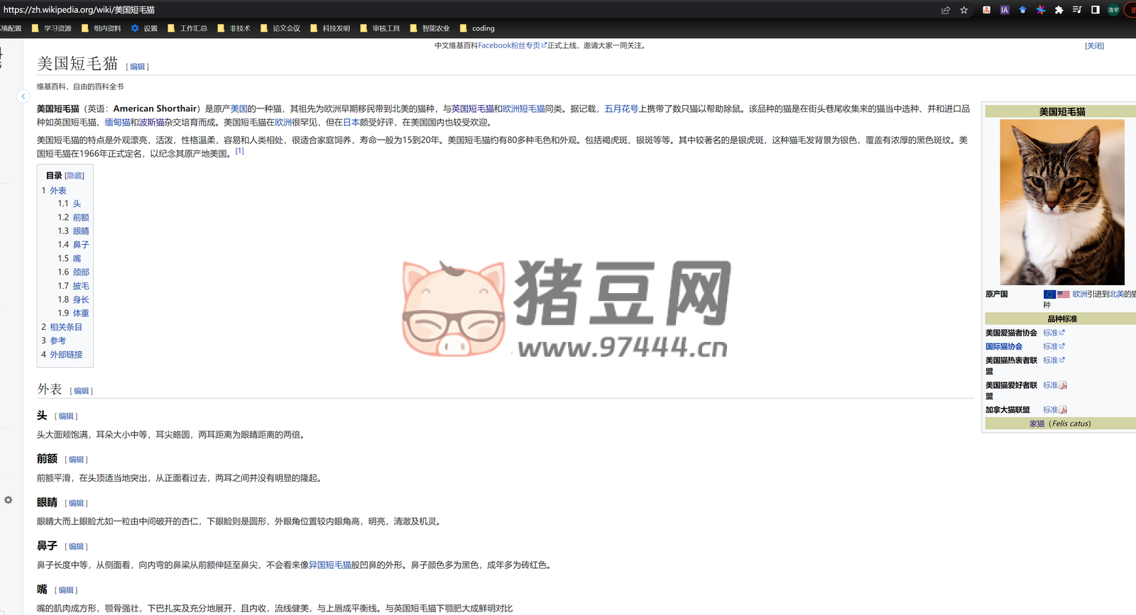 Open Chat Video Editor：開源的短視頻生成和編輯工具