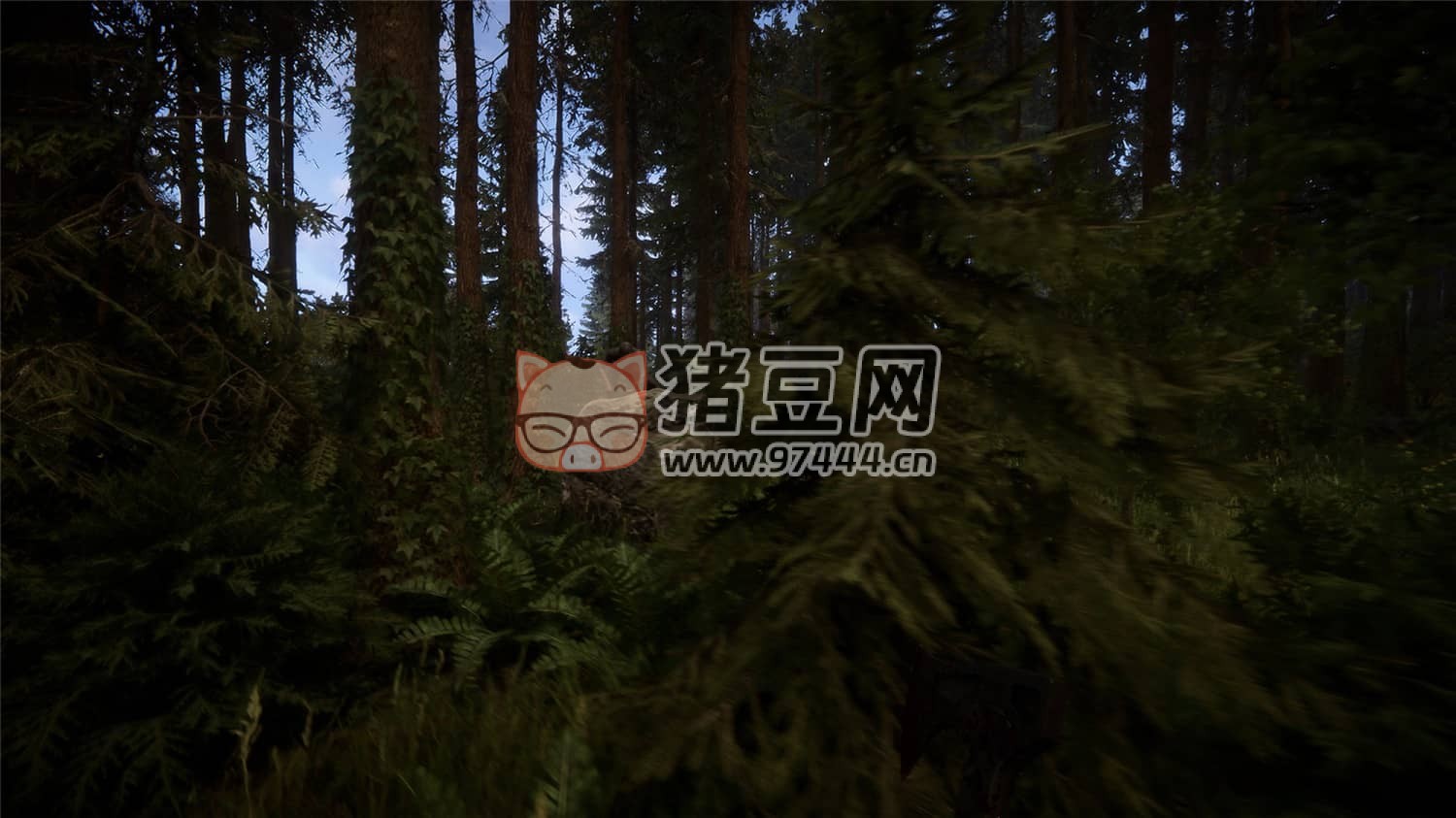 《森林之子》v47848 正式版